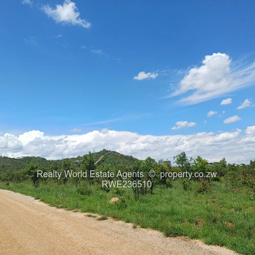 Masvingo Clipsham Stand For A School 
