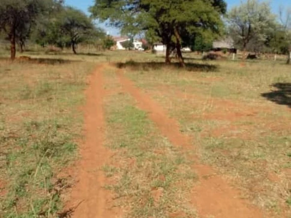 Farm & Agricultural Land