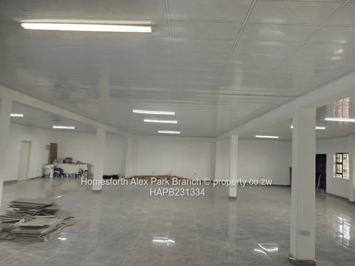 An investment opportunity...