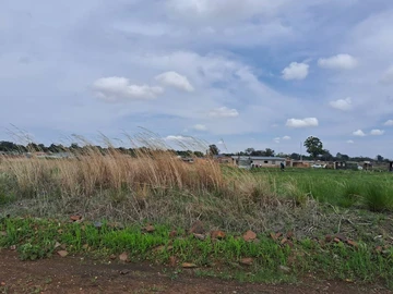 Stands & Residential Land