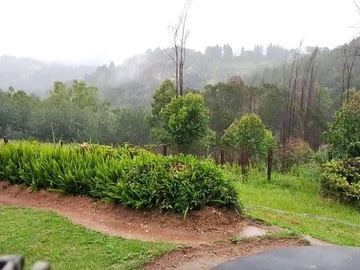 6 Hectors Plot For Sale!!!