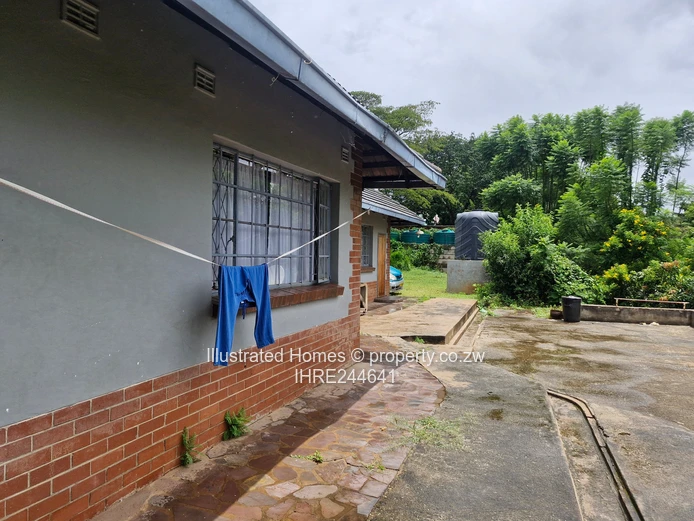 Interesting Investment Opportunity 