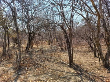 Farm & Agricultural Land