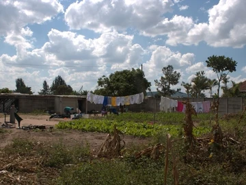 Stands & Residential Land