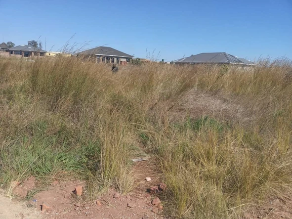 Stands & Residential Land