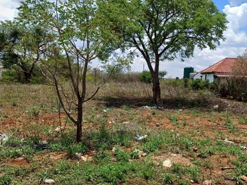 Stands & Residential Land