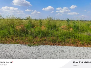 Stands & Residential Land