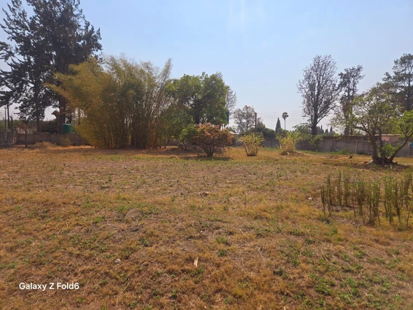 Stands & Residential Land