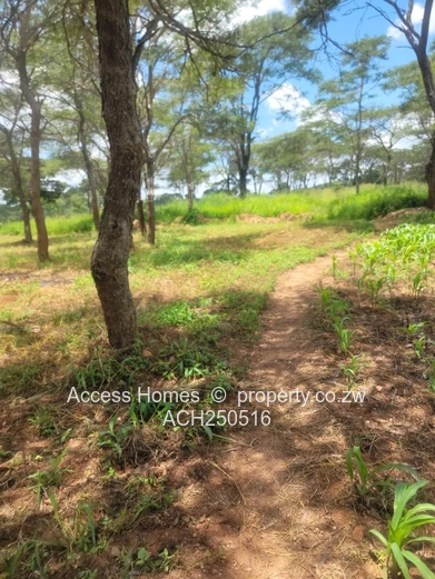 Glenforest agro residential plot 