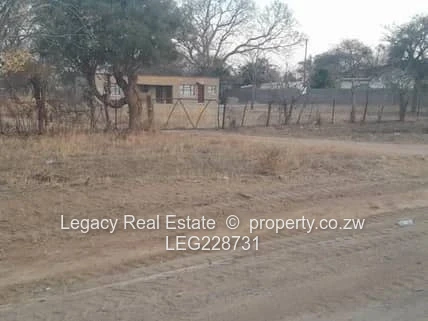 Plumtree Stand for Sale – 1 Hectare
