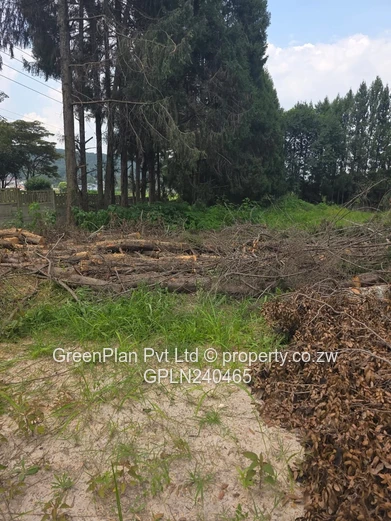 Prime Land for Sale – Borrowdale Quinnington
