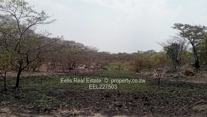 Gweru Plots for sale 