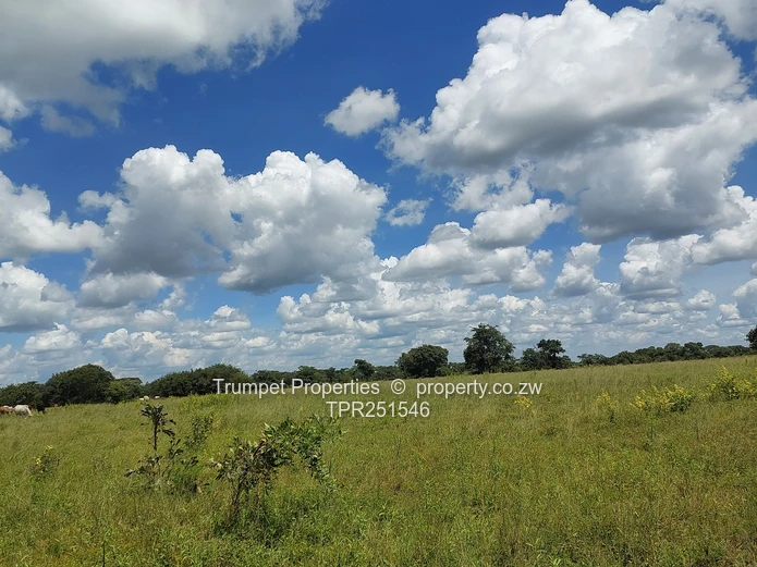 75 Hectare farm , with 3 Dams in Chivhu for Sale