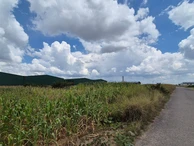 Commercial & Industrial Land