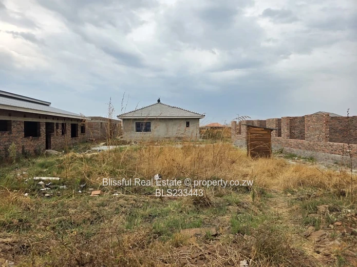 glaudina stand for sale