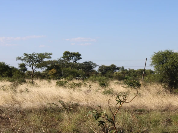 Commercial & Industrial Land