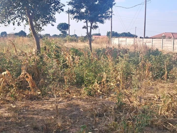 Farm & Agricultural Land
