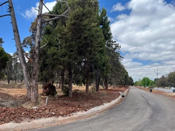 Commercial & Industrial Land