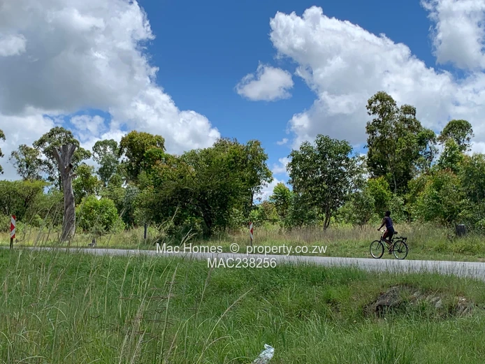 Rusape Land For Sale (Sole Mandate)