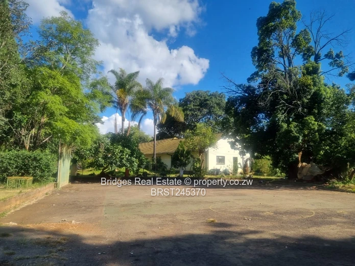 Subdivision Stand for Sale in Northwood Mt Pleasant 