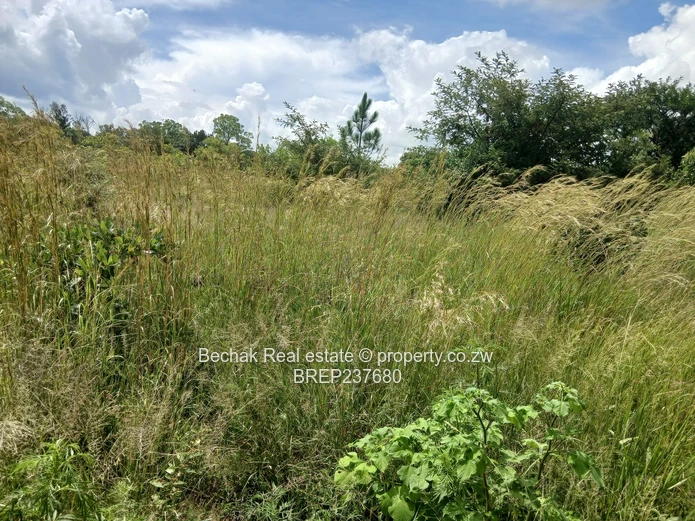 Stand for sale in Burnside 