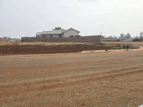Stands & Residential Land