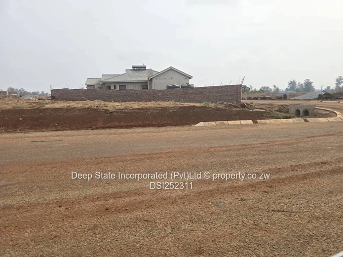 Nyeredzi stand for sale 