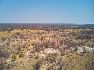 Farm & Agricultural Land