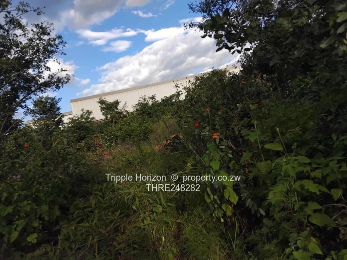 Msasa Industrial Estate: Warehouse & Factory on 10,000m²