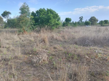 Farm & Agricultural Land