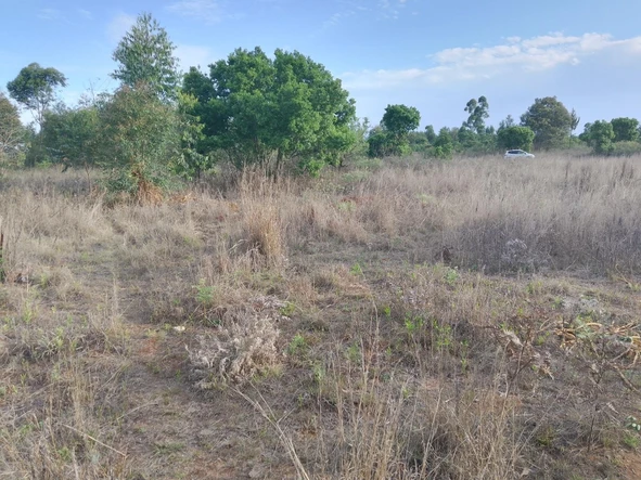 Farm & Agricultural Land