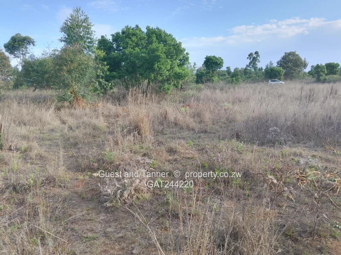 59.3ha Agricultural Farm For Sale In Mutare Odzani
