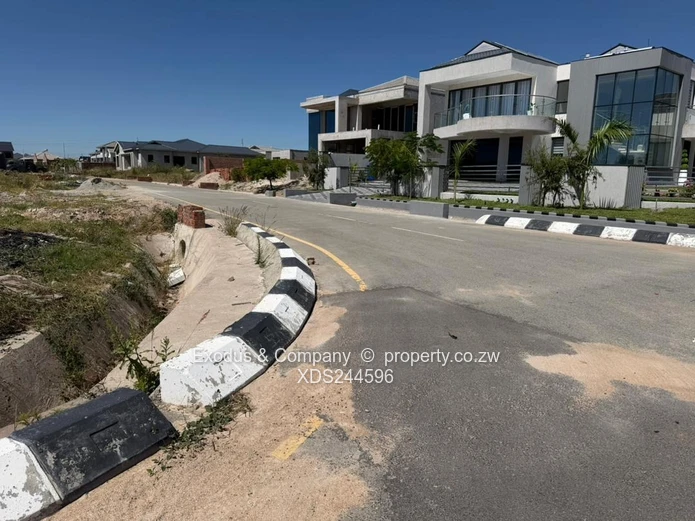 600m² Arlington Stand — Morden Living!