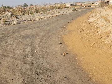 Stands & Residential Land