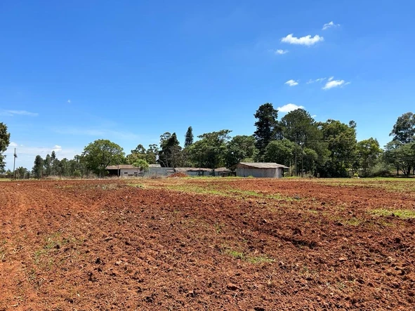 Farm & Agricultural Land