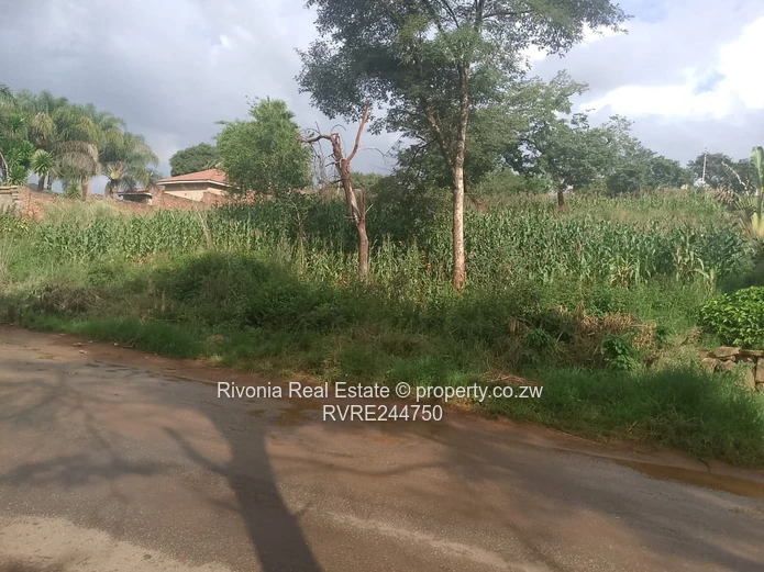 2000m² Gletwin Park Stand — Tarred Road & Access Control