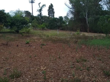 4 Bedroom Townhouse Complex