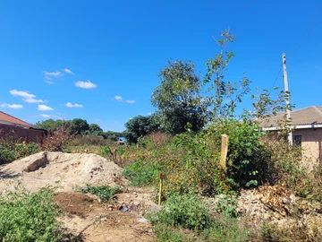 Stands & Residential Land