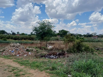 Stands & Residential Land