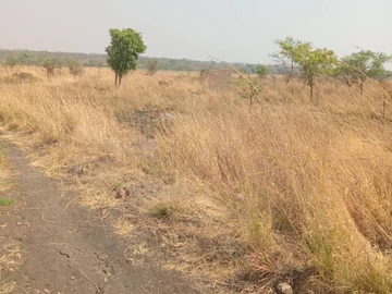 Farm & Agricultural Land