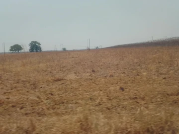 Farm & Agricultural Land