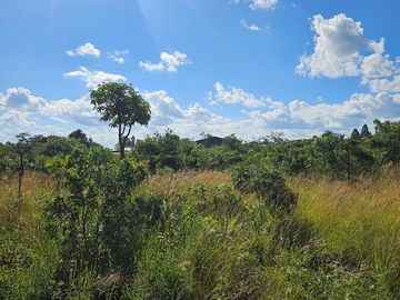Commercial & Industrial Land