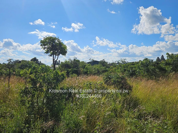 Vacant 670 m² Commercial Plot in Marondera behind chicken inns main branch