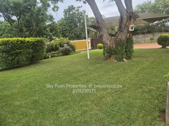 Hillside House For Rent