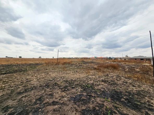Stands & Residential Land