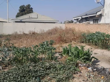 Stands & Residential Land