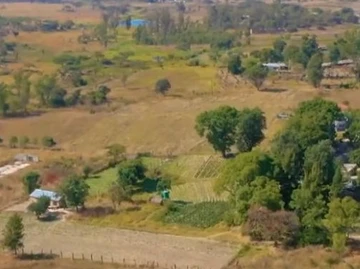 Farm & Agricultural Land