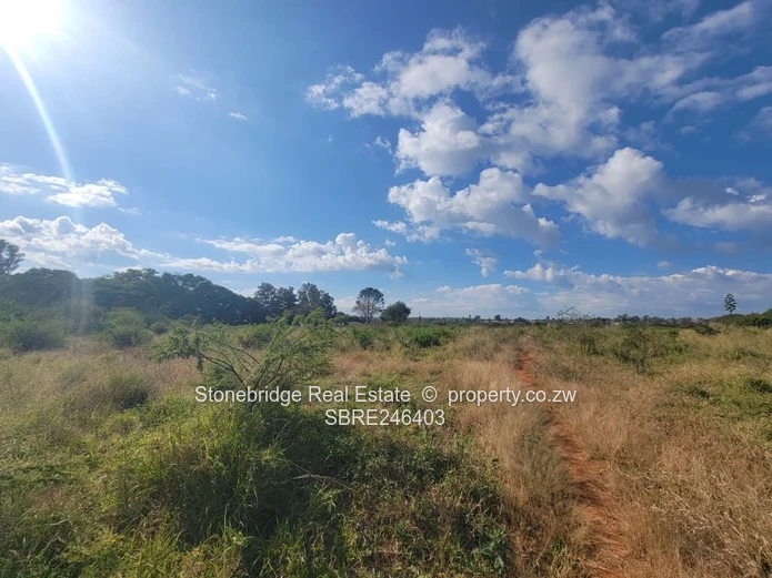 2 Acre Stand in Riverside for sale