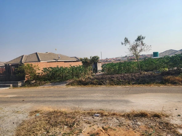 Stands & Residential Land