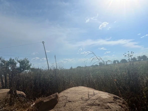 Commercial & Industrial Land